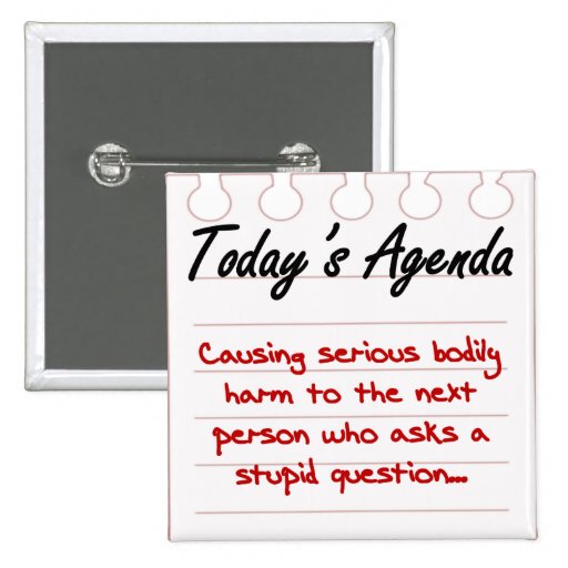 Don't Ask Stupid Questions Pinback Buttons