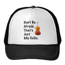 Don't Be Afraid That's Just My Cello