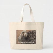 don't be shy canvas bag