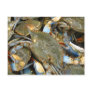 Don't Bother Me...I'm Crabby! Postcard