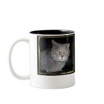 Don't Bug Me Coffee Mugs