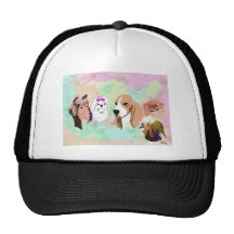 Don't compare mesh hats