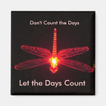 Don't Count the Days Fridge Magnet