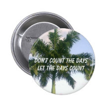 Don't Count the Days Pins