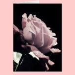 Don't cry dear Violet cards