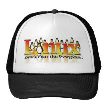 Don't fear the Penguins Mesh Hat