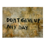 Don't Give Up Graffiti -  Postcard