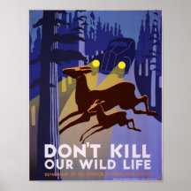 Don't kill our wildlife posters