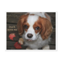 Don't leave me   Verlass mich nicht Postkarte