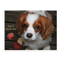 Don't leave me   Verlass mich nicht Postkarte