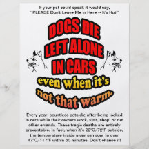 DONT LEAVE YOUR PETS ALONE IN A CAR FLYER DESIGN