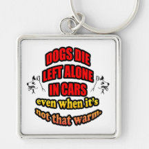 DONT LEAVE YOUR PETS ALONE IN A CAR KEY CHAIN
