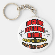 DONT LEAVE YOUR PETS ALONE IN A CAR KEYCHAINS