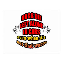 DONT LEAVE YOUR PETS ALONE IN A CAR POST CARD
