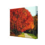 Don't Lose Sight Canvas Stretched Canvas Print