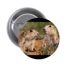 Don't Move!...Wasp Pins