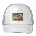 Don't Move!...Wasp Trucker Hat