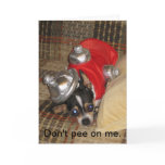 Don't Pee On Me. Greeting Card