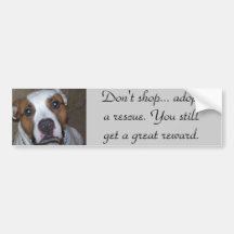 Don't Shop... adopt a rescue. Bumper Stickers