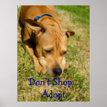 Don't Shop...Adopt Print