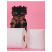 Don't squeeze the Charmin Flyer Design