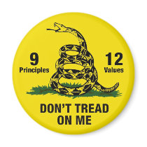 Don't Tread on Me Flag 9 Principles 12 Values Magnets