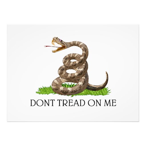 Dont Tread On Me Gadsden American Revolution Flag Photographic Print