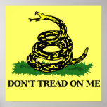 Don't Tread On Me Print