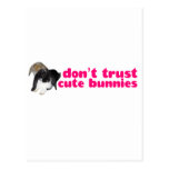 Dont Trust Cute Bunnies - Rabbits Naughty Postcards