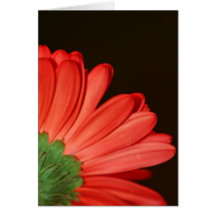 Don't turn your back on me greeting card