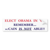 Dont vote for McCain Bumper Sticker
