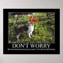 Don't Worry..Cat Friendship Artwork Print