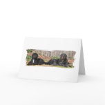 Doodle greeting card
