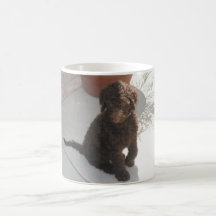 DoodlePoodle Coffee Mugs