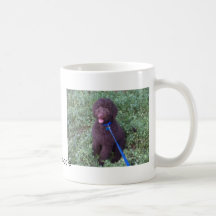 DoodlePoodle Jason Coffee Mugs