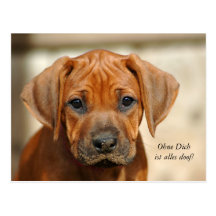 Doof d'alles d'IST de Postkarte "Ohne Dich ! " Carte Postale