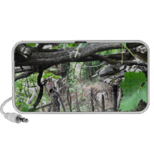 Doorway to the heart iPod speaker