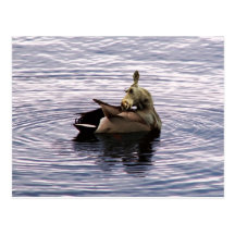 Doose postcard
