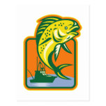 dorado dolphin fish mahi-mahi postcard