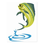Dorado dolphin fish or mahi mahi postcard