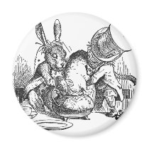 Dormouse magnets