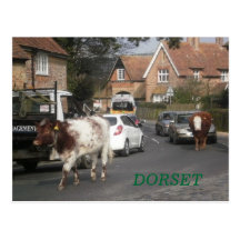 Dorset Traffic Postcards