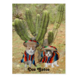 Dos Gatos Postcards