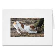 Dottie At Play Greeting Card