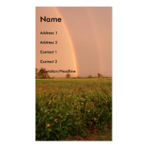 Double arc-en-ciel cartes de visite personnelles