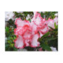 Double Azaleas Floral Postcard