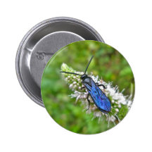 Double Banded Scoliid Wasp on Mint Pinback Button