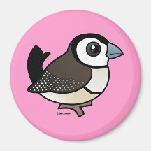 Double-barred Finch Magnets