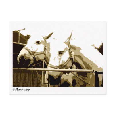 Double Beauty Postcard by 2LPZstudio