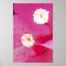 Double Blossom Print